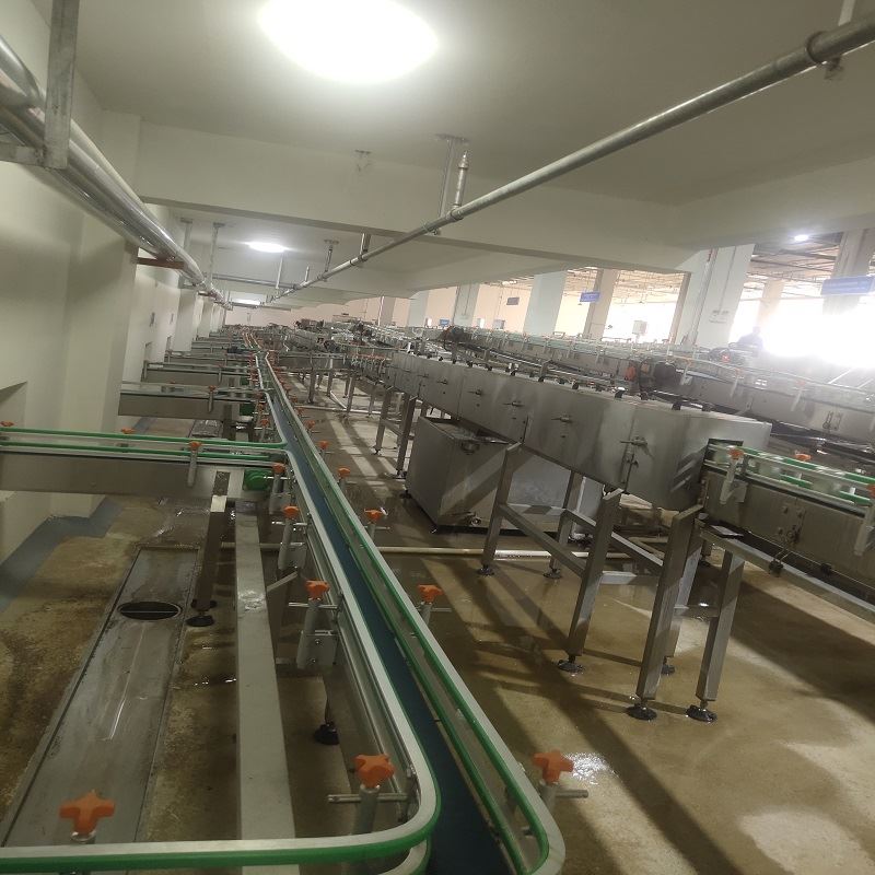 柔性鏈輸送線廠家